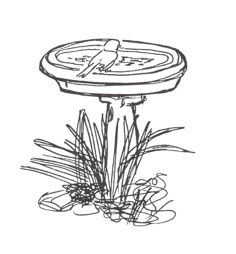 my neighbor's bird fountain