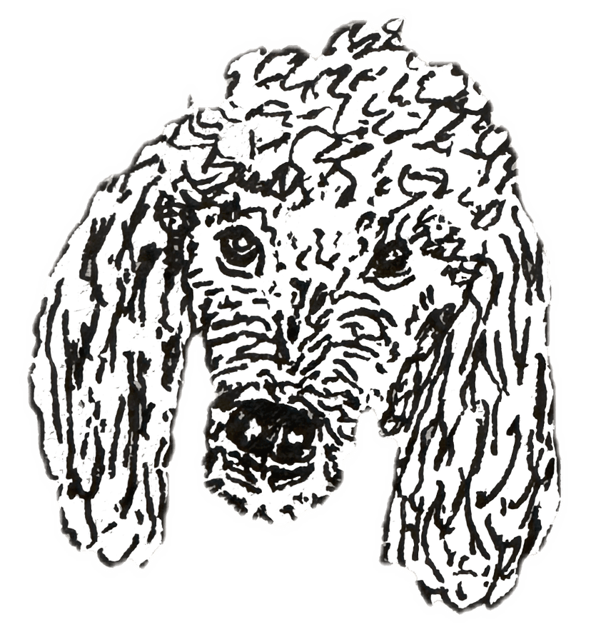 this dog is my neighbor who works at a bookstore