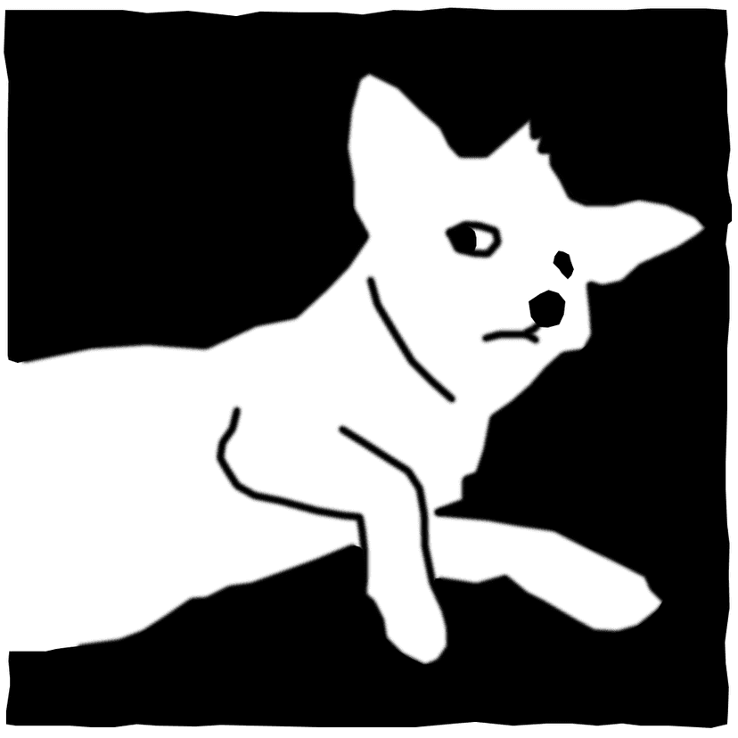 my skeptical dog, Paul Jr.