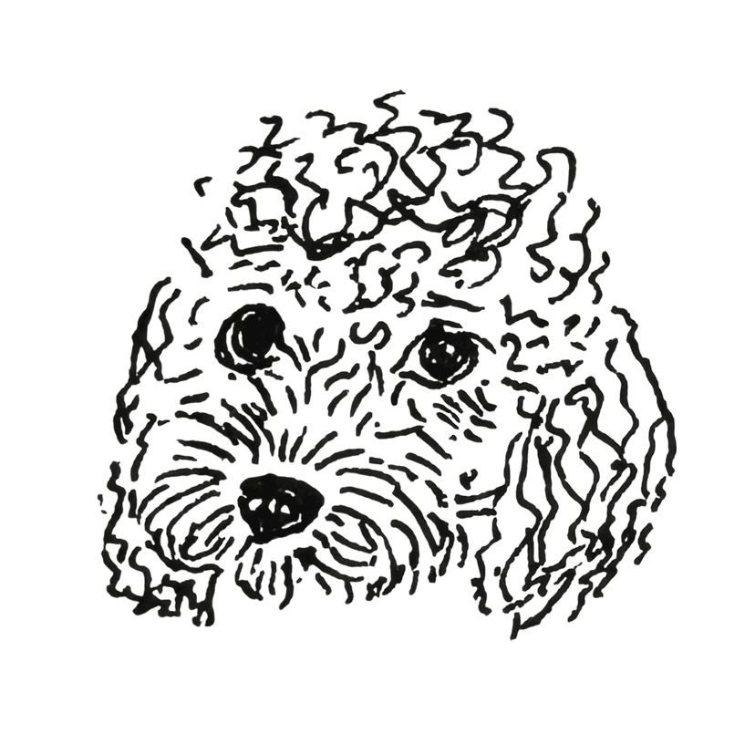 her name is p✪lly and we have similar hair