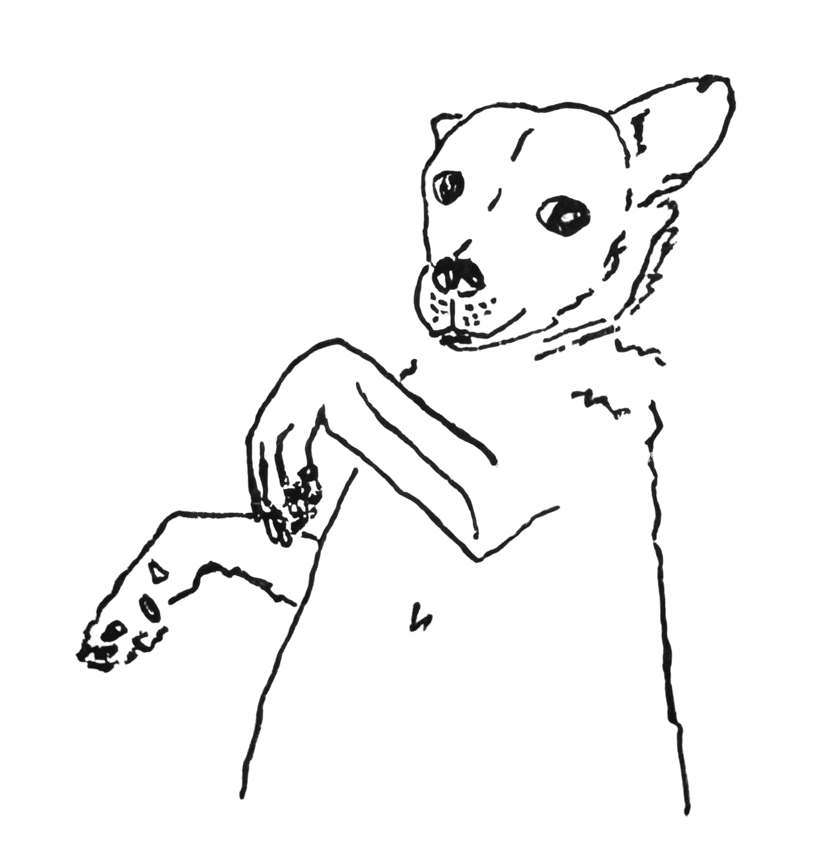 belly scritches for duke