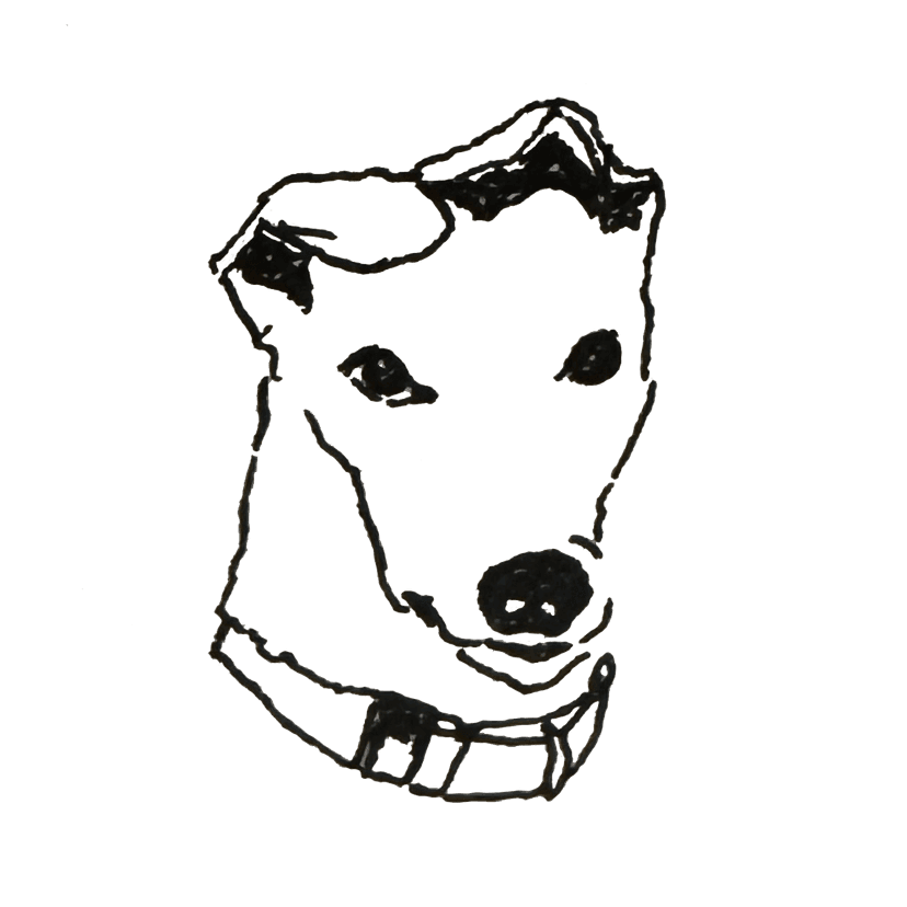 jack, a big giant boy