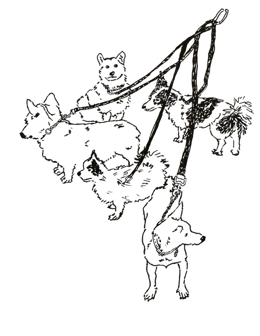 saw these guys on the streets of nyc