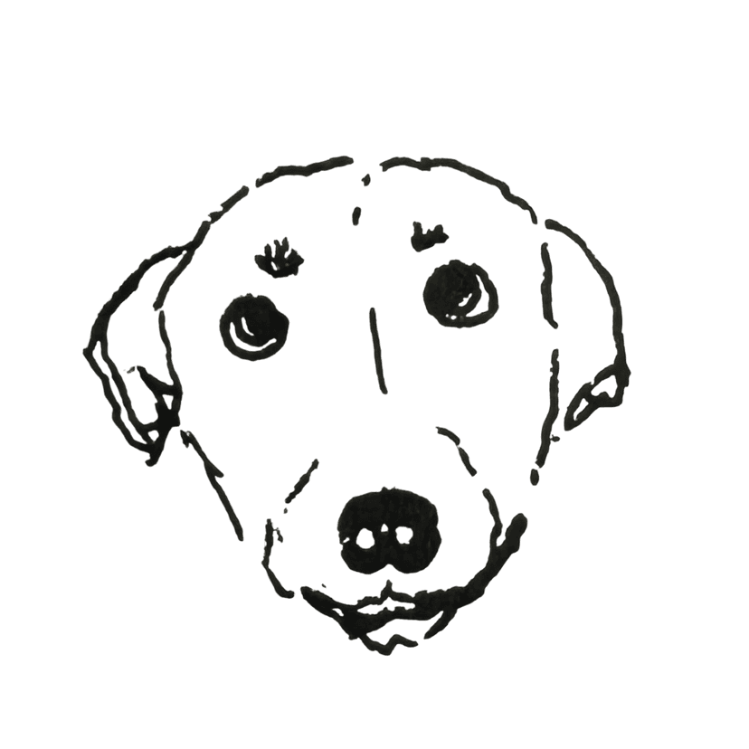 mrs. eyebrows (that's not her name)