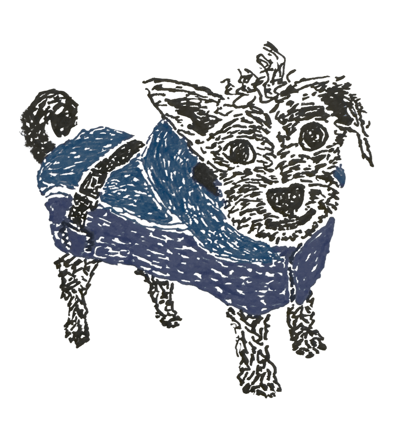 tony hawk in his raincoat